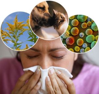 Основные аллергены