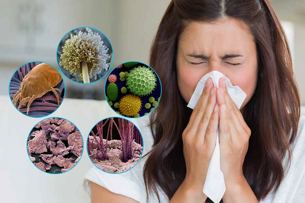 Как проявляется аллергия на пыль на лице thumbnail