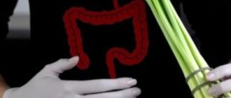 Питание при синдроме раздражённого кишечника: как есть, чтобы жить без постоянного дискомфорта